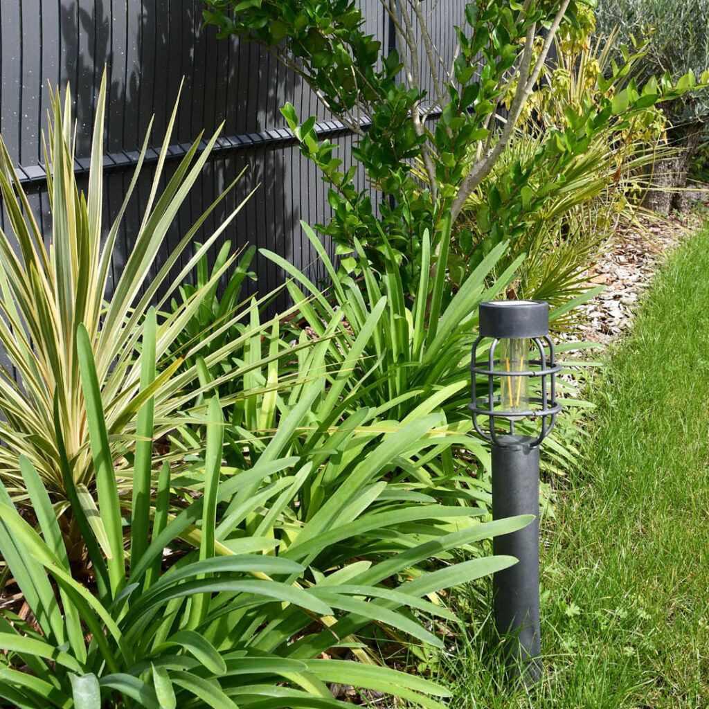 Coaching jardin conseil paysagiste Villefranche sur saône